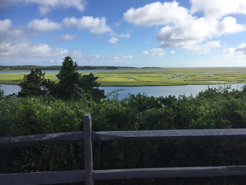 Cape Cod Hikes: Fort Hill